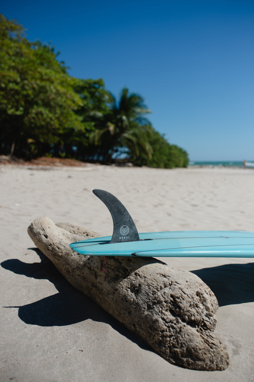 Single Fin surfboard longboard beach 